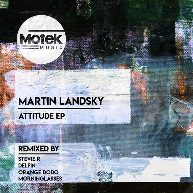 Leipzig House - Stevie R & Orange Dodo Remix cover art