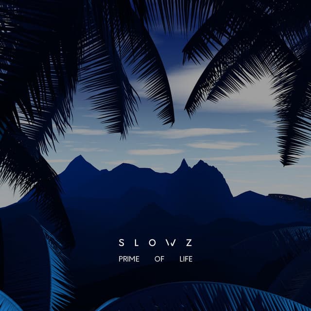 Morning Lights cover art