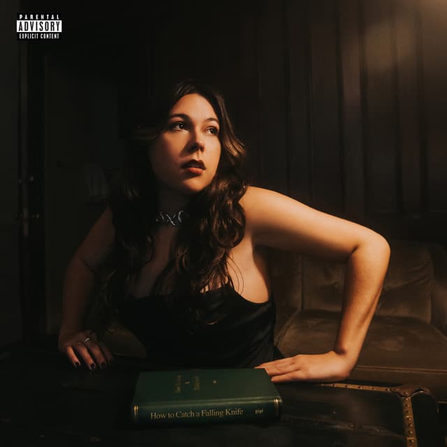 How To Catch A Falling Knife cover art