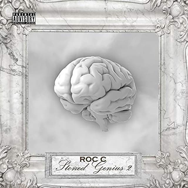 Stoned Genius 2 cover art