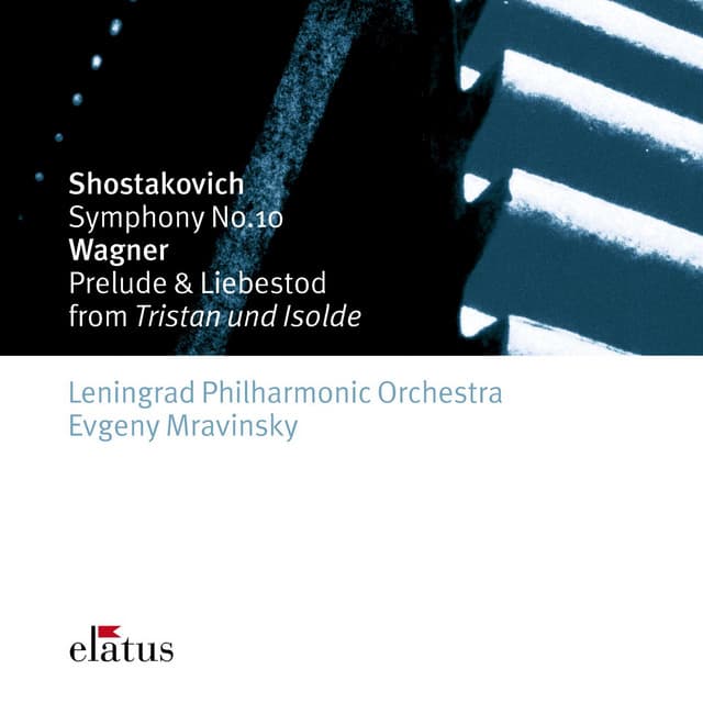 Shostakovich: Symphony No. 10 in E Minor, Op. 93: II. Allegro cover art