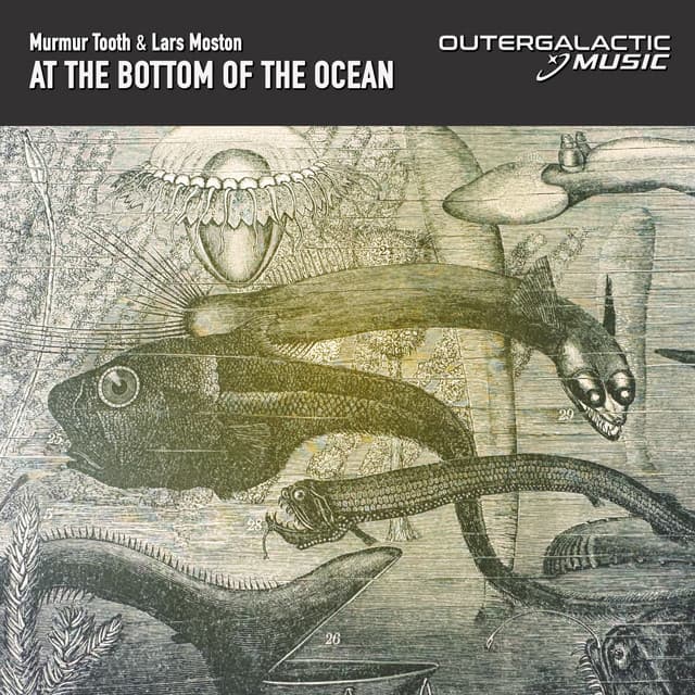 At the Bottom of the Ocean cover art