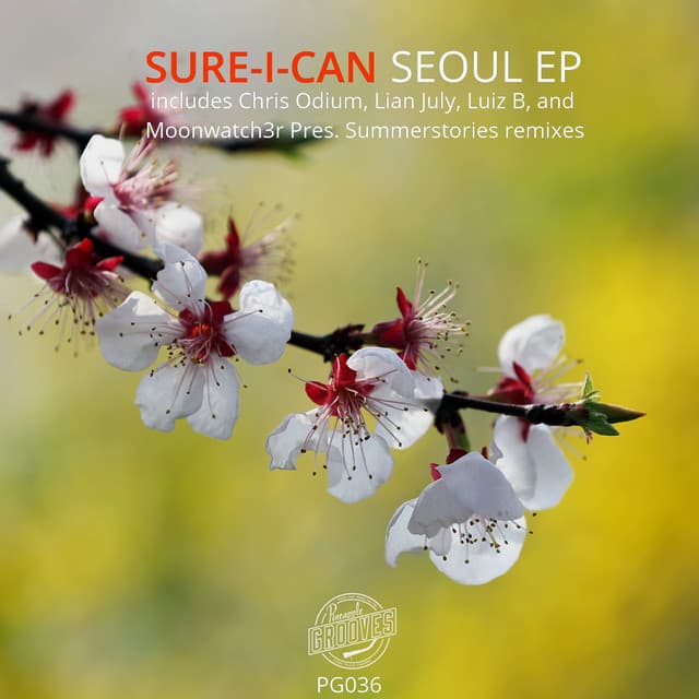 Seoul - Luiz B Remix cover art