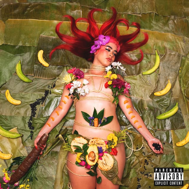 Arepa cover art