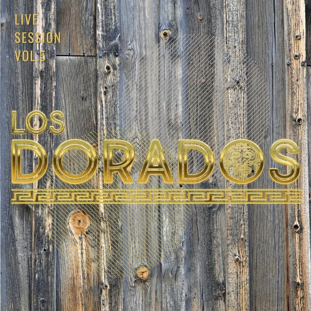 Dime Dime (En vivo) cover art