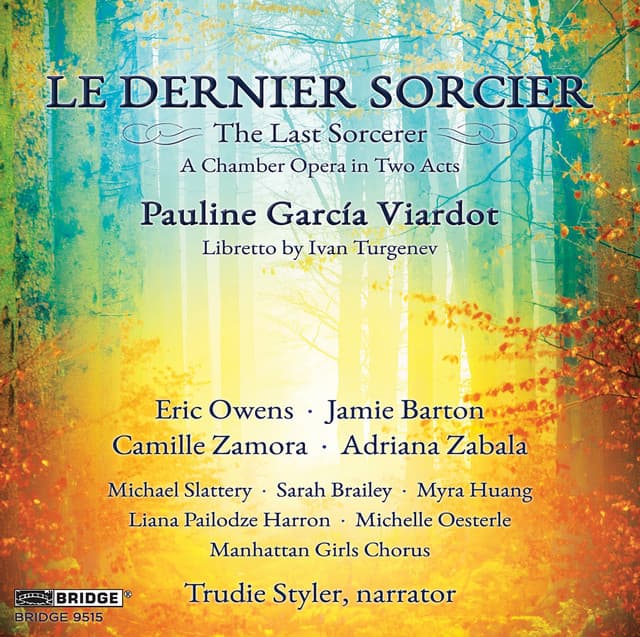 Viardot: Le dernier sorcier cover art