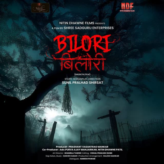 Bahucha Birthday cover art