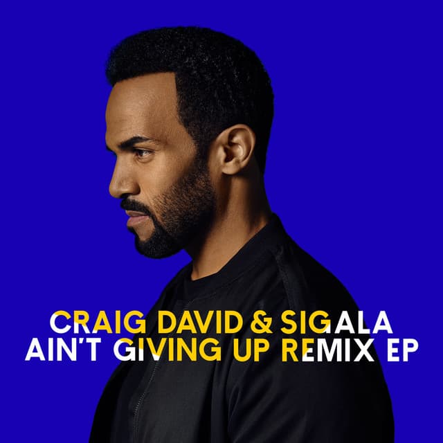 Ain't Giving Up - WiDE AWAKE Remix cover art