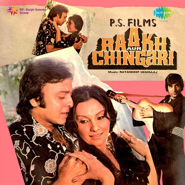 Teri Meri Dosti cover art