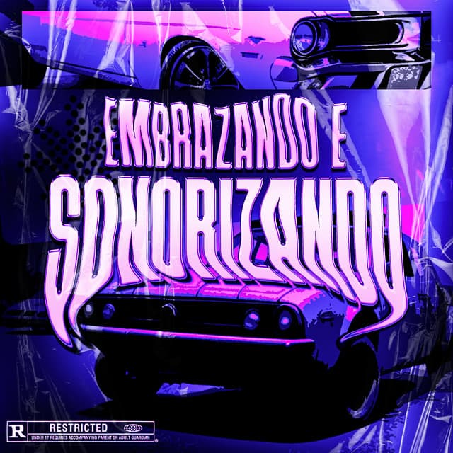 EMBRAZANDO E SONORIZANDO cover art