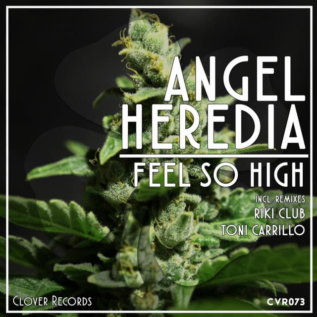 Feel So High - Toni Carrillo Remix cover art
