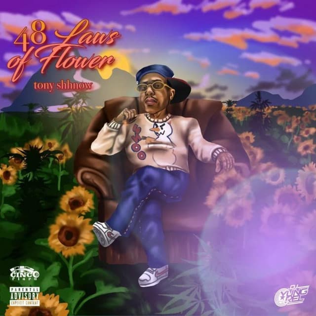 IRS cover art