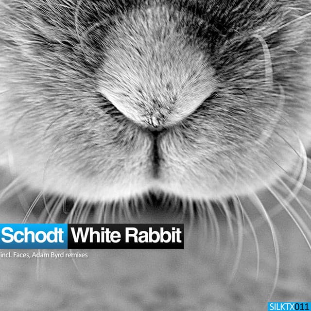 White Rabbit - Faces Remix cover art