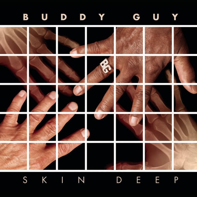 Skin Deep (feat. Derek Trucks) cover art