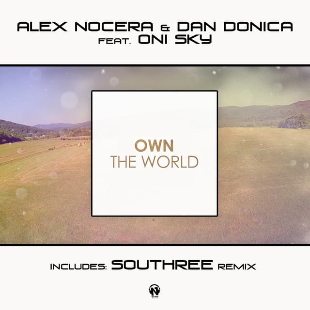 Own the World - Southree Remix cover art
