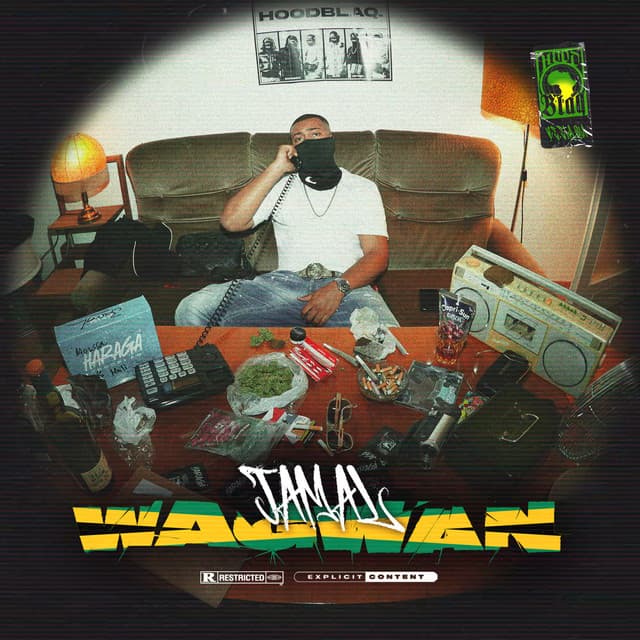 IN MEINER WELT (feat. Alim) cover art