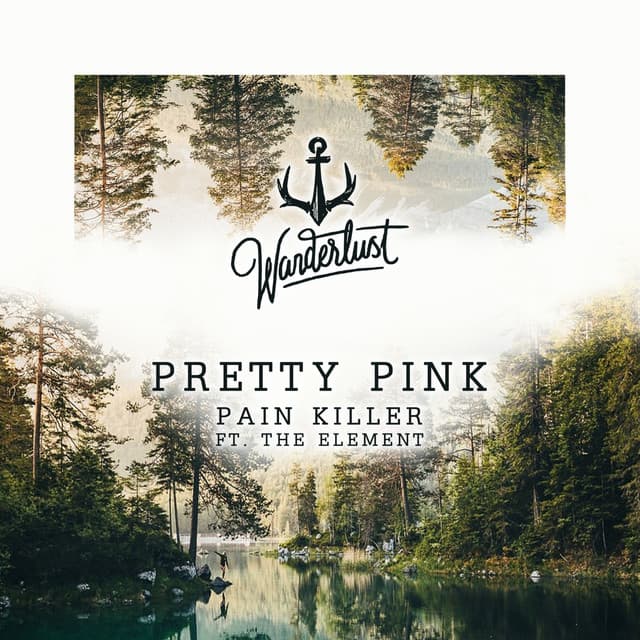 Pain Killer cover art