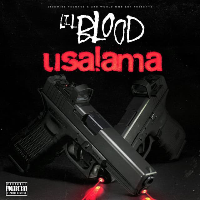 Usalama cover art