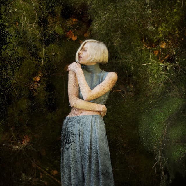 Little Boy in the Grass cover art