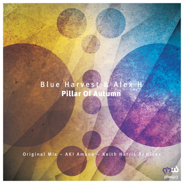 Pillar of Autumn - AKI Amano Remix cover art