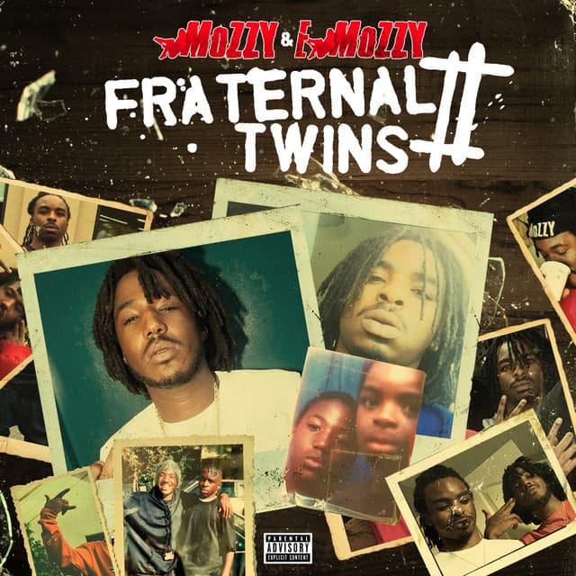 Fraternal Twins 2 cover art