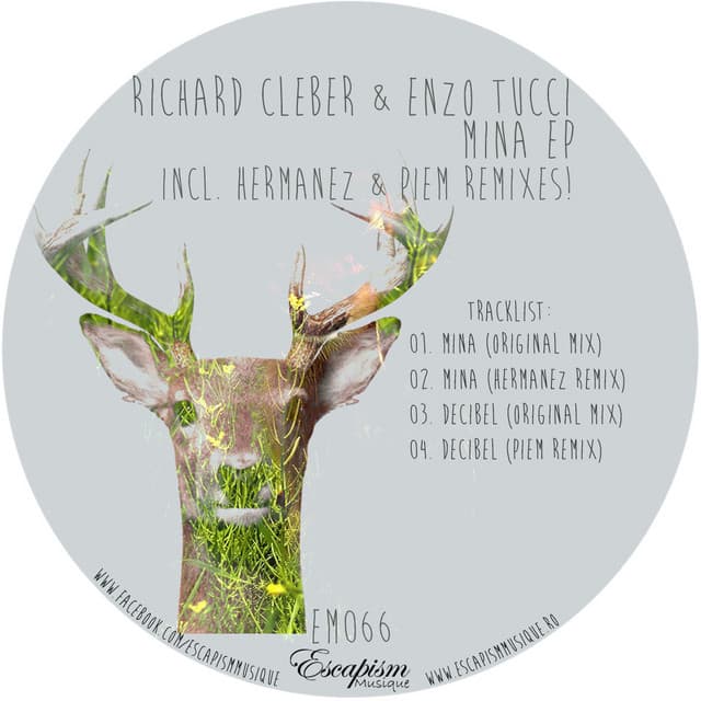 Mina - Original Mix cover art
