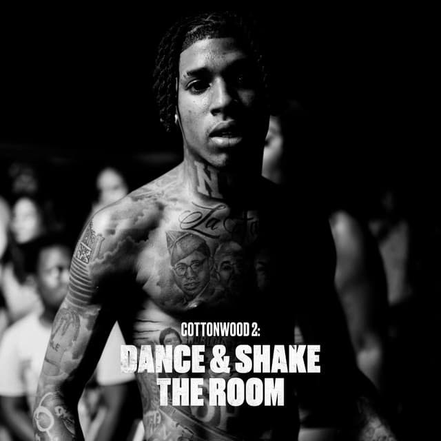 SHAKE IT cover art