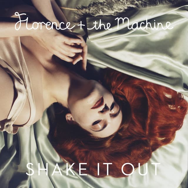 Shake It Out - Benny Benassi Remix Edit cover art