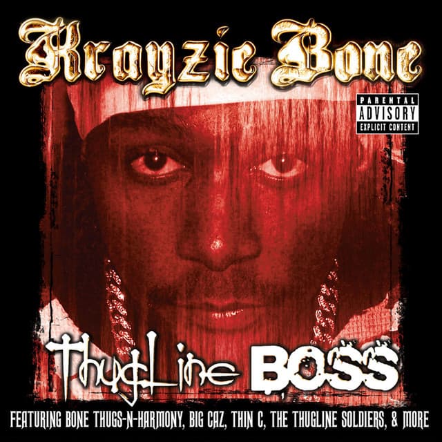 Thug Brothaz cover art