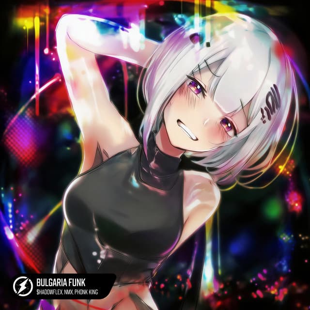 BULGARIA FUNK cover art