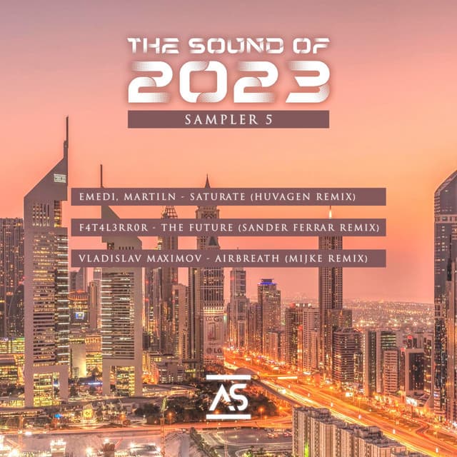 The Future - Sander Ferrar Remix cover art
