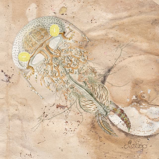 By Night cover art