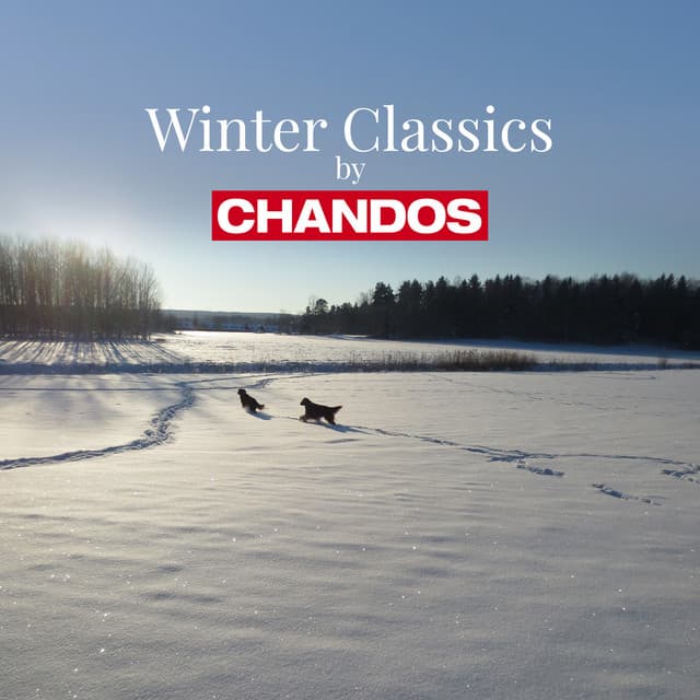 Winterreise, Op. 89, D. 911: No. 1, Gute Nacht cover art