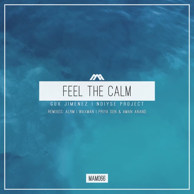 Feel the Calm - ALRM Remix cover art