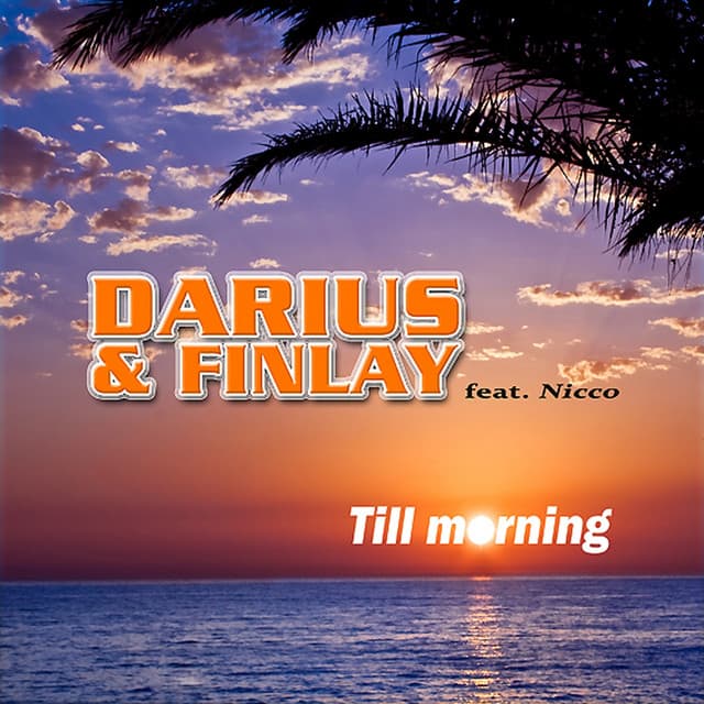 Till Morning - Video Mix cover art