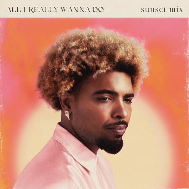 All I Really Wanna Do (Sunset Mix) cover art