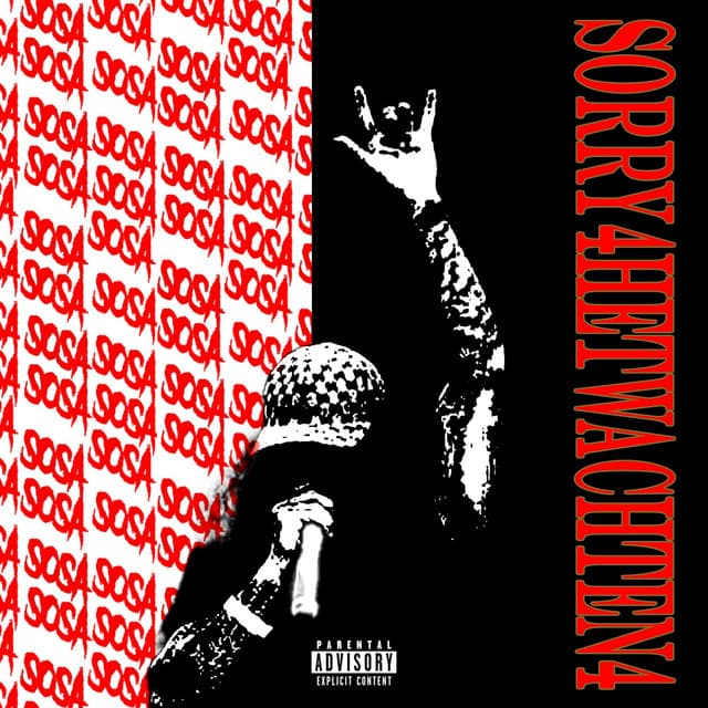 Ski Ski cover art