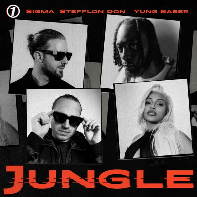 JUNGLE cover art