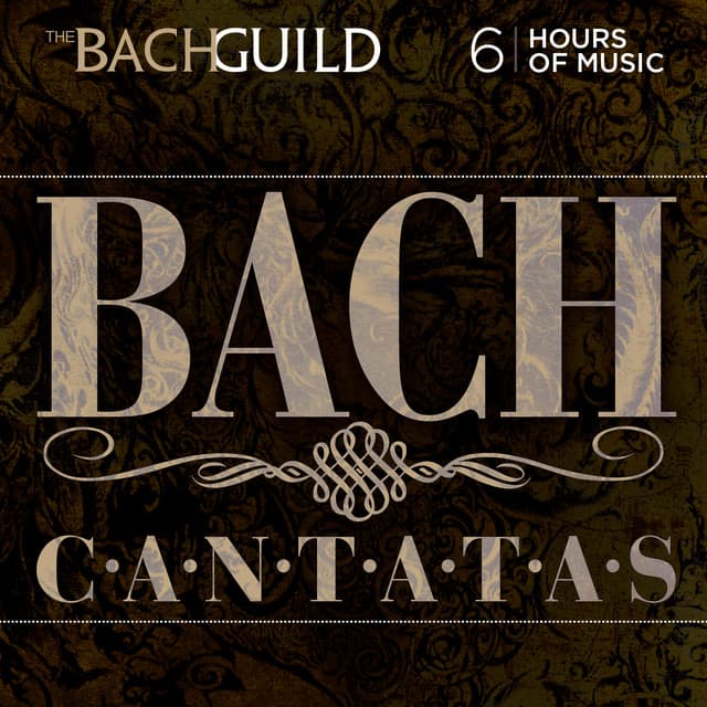 Cantata No. 209: Non sa che sia dolore (Italian Cantata), BWV209 i. Sinfonia in B-minor cover art