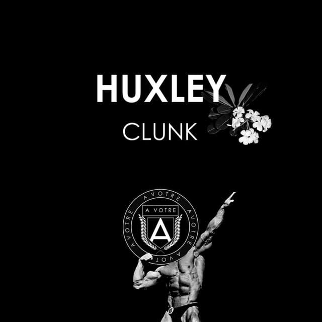 Clunk - Toni Varga Remix cover art