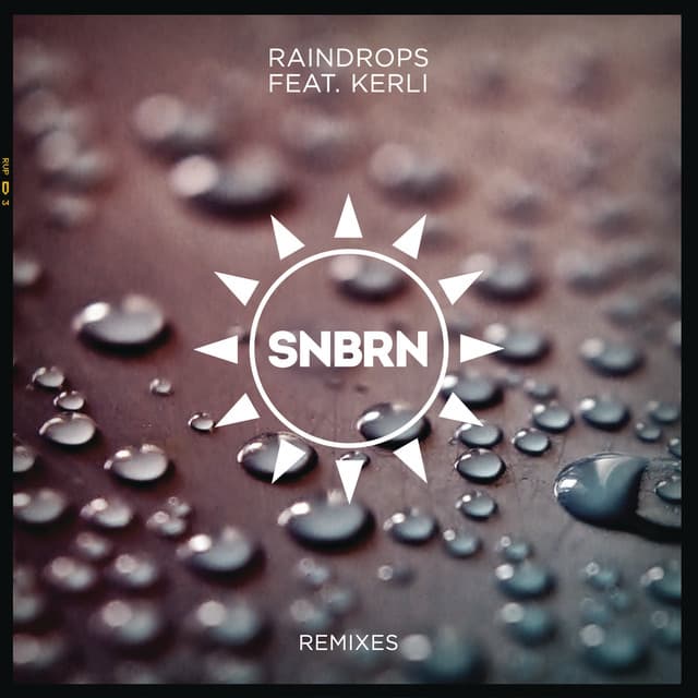 Raindrops (feat. Kerli) - Prince Fox Remix cover art