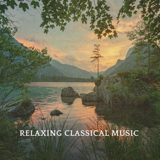 The Four Seasons - Violin Concerto in F Minor, RV 297, "Winter", Arr. for Violoncello: II. Largo cover art