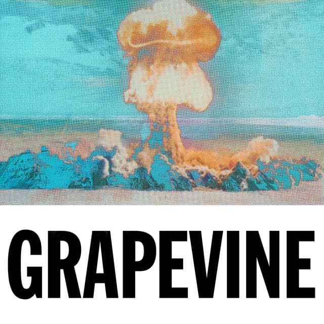 Grapevine - Tujamo Remix cover art