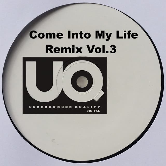Come Into My Life - Remix cover art