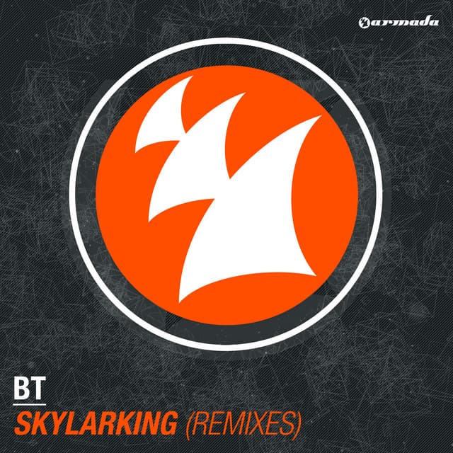 Skylarking - Maor Levi Remix cover art