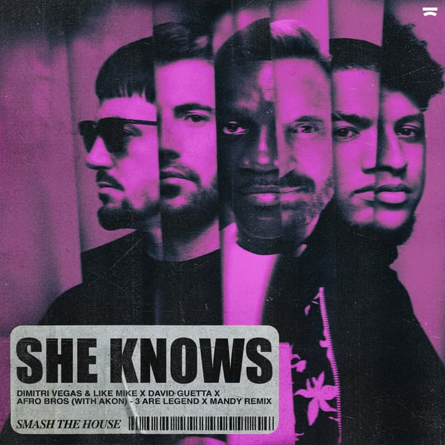 She Knows (with Akon) - 3 Are Legend x MANDY Remix cover art