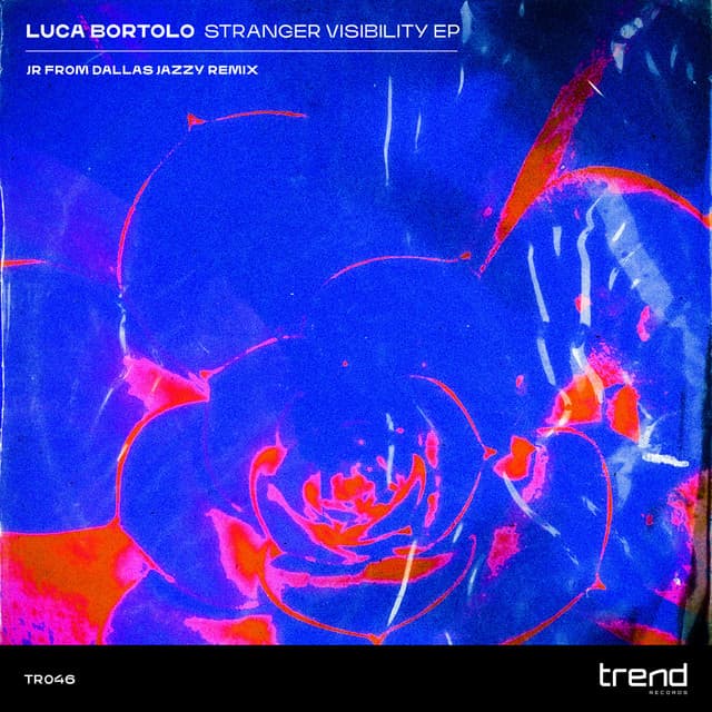 Stranger Visibility cover art