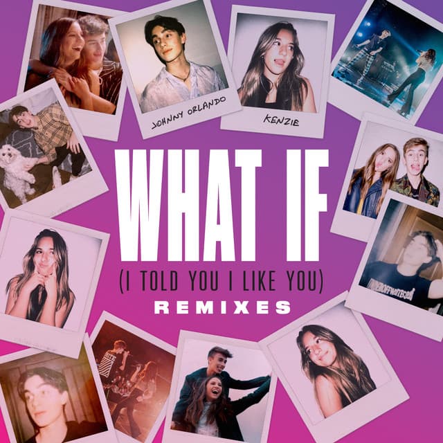 What If (I Told You I Like You) - Cyril Hahn Remix cover art