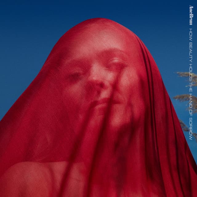 Trust cover art