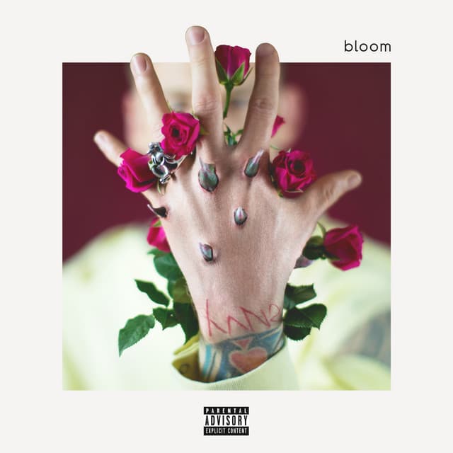 bloom (Deluxe) cover art